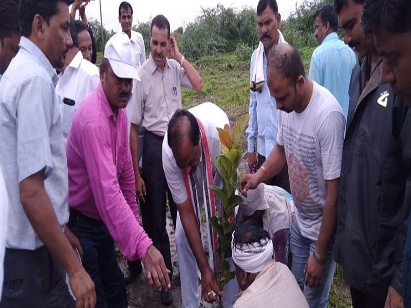 वड,पिंपळ,बेल इत्यादी झाडे लावून प्रकल्पाचा शुभारंभ करण्यात आला.